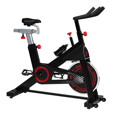 Bicicleta Spinning Embreex 343